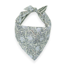 Load image into Gallery viewer, Peacemaker & Juniper Stripe 2-in-1 - Dog Bandana