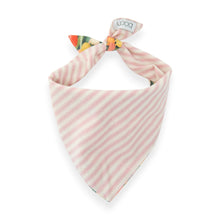 Load image into Gallery viewer, Restored & Peony Stripe 2-in-1 - Dog Bandana
