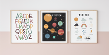 Load image into Gallery viewer, Educational Posters
