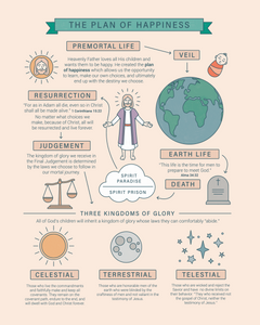 Plan of Happiness Infographic