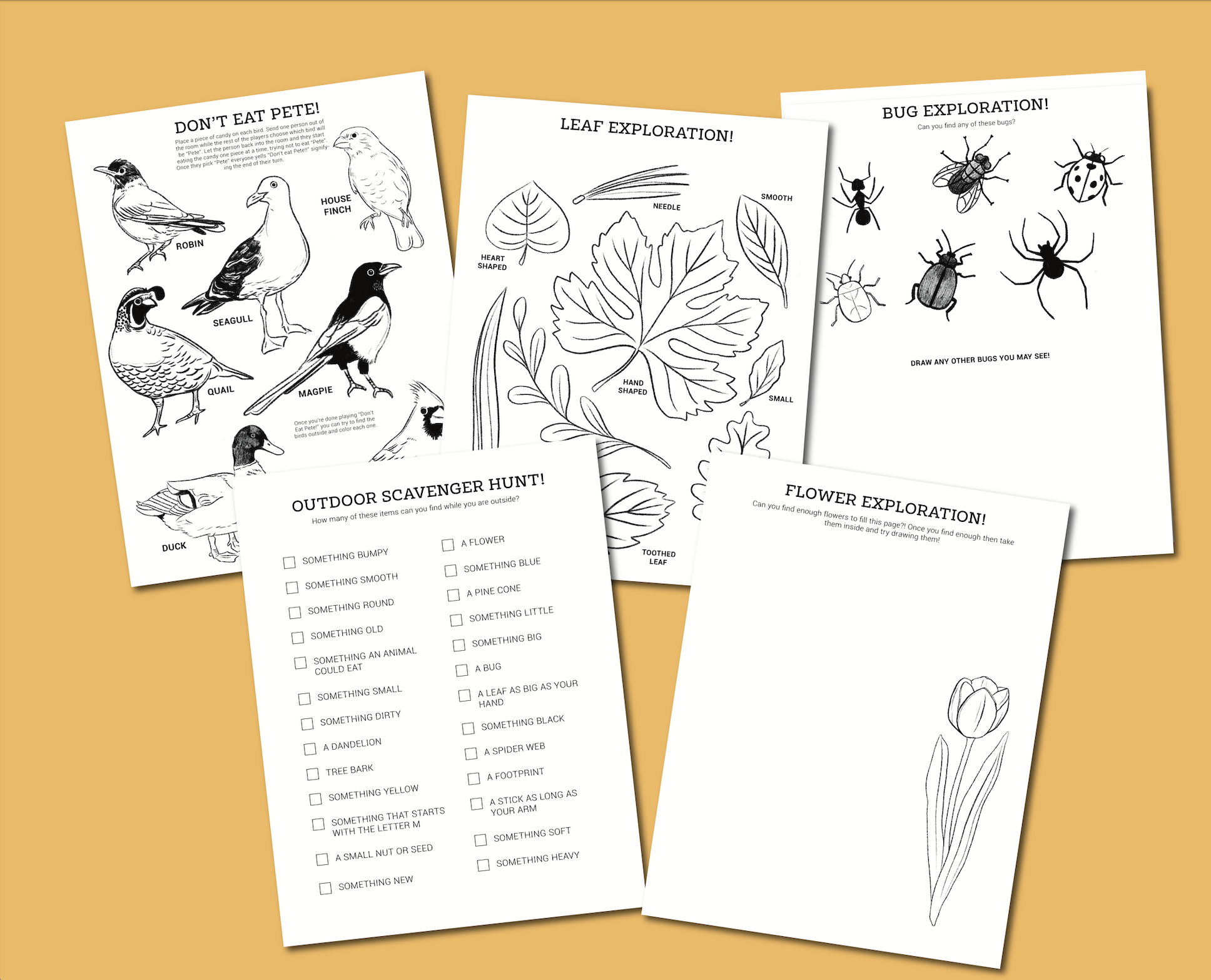 Outdoor Exploration Activity Pages