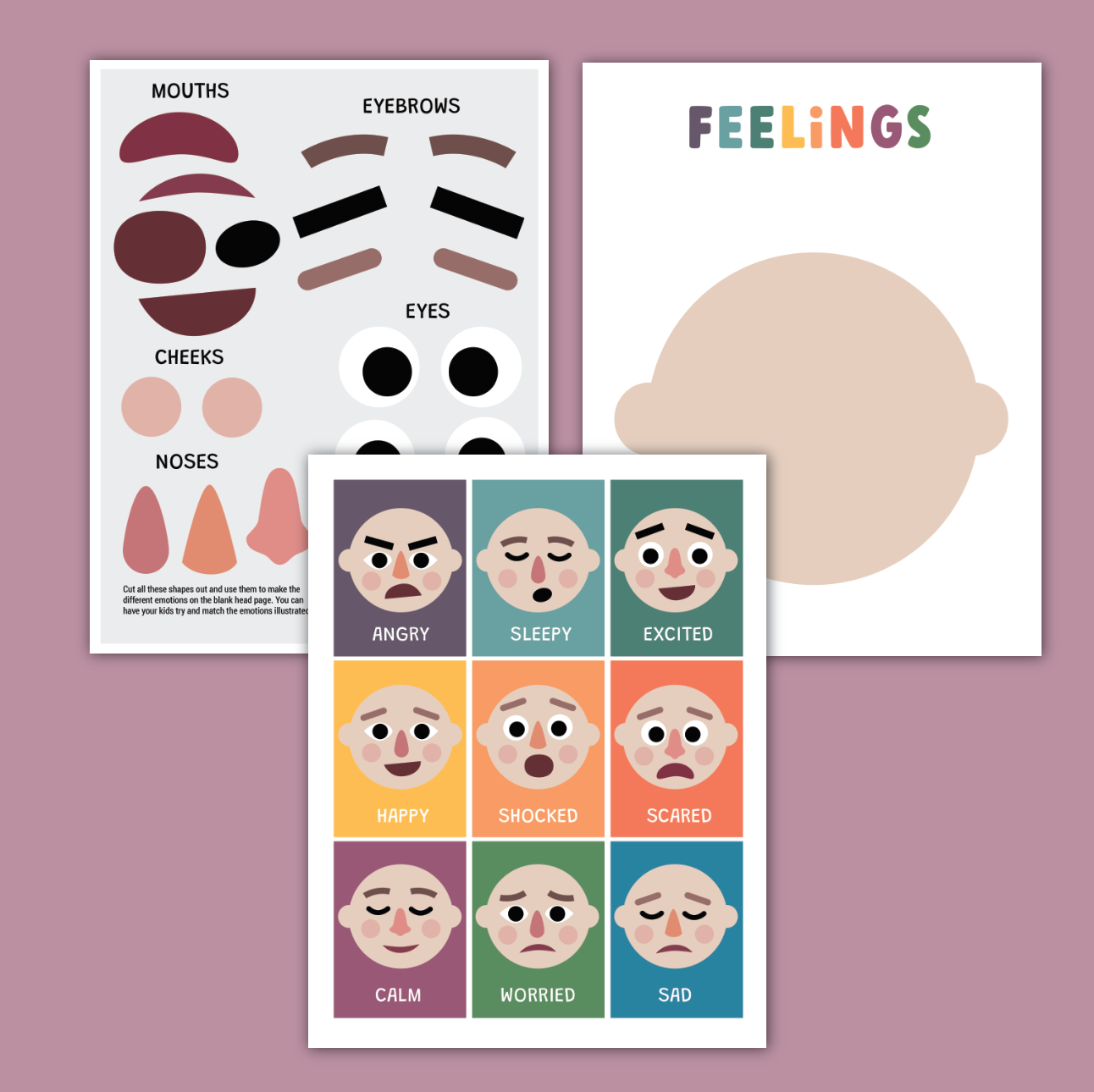 Feelings Acitivity