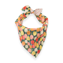 Load image into Gallery viewer, Restored &amp; Peony Stripe 2-in-1 - Dog Bandana
